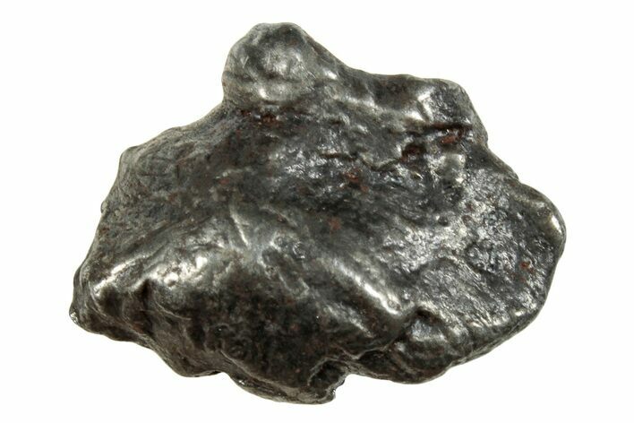 Sikhote-Alin Iron Meteorite Shrapnel ( g) - Russia #263576